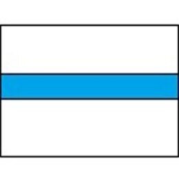 Draad 2.5 mm2 wit/blauw