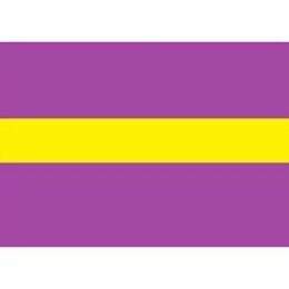 Draad 1.0 mm2 paars/geel