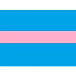 Draad 1.0 mm2 blauw/rose