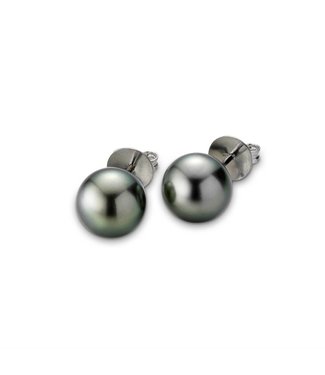 Gellner Pearls H2O stud earrings, white gold 5-18017-119