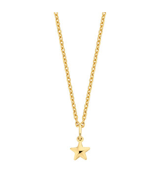 ketting 14kt geelgoud Star G0070