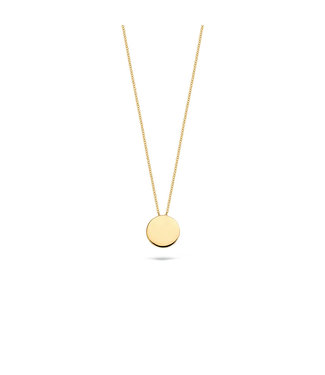 Blush ketting 18kt geelgoud Rond 3088YGO