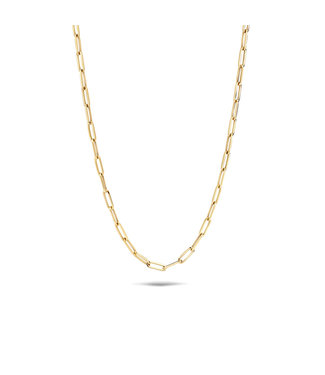 Blush ketting 14kt geelgoud - 3101YGO