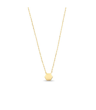 ketting 14kt Hexagon G0242