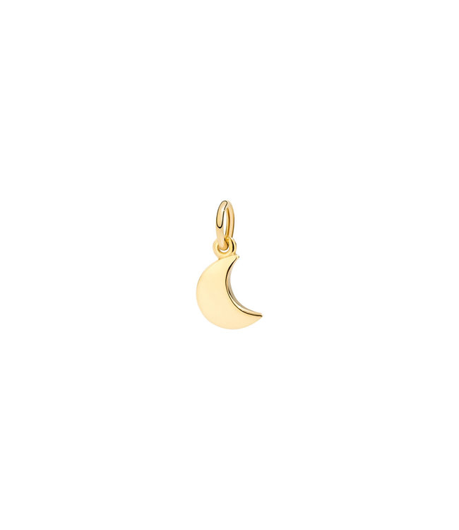 Dodo hanger Nature Maan 18kt geelgoud DMB9033-MOONS-000OG