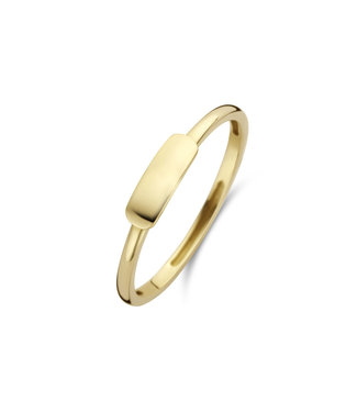 Blush ring 14kt geelgoud 1236YGO