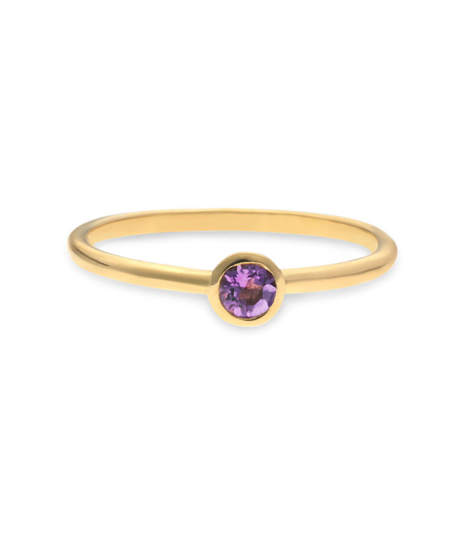 Swing Jewels Birthstone 14kt ring - February Amethyst - SWBR01FEB-Y-52