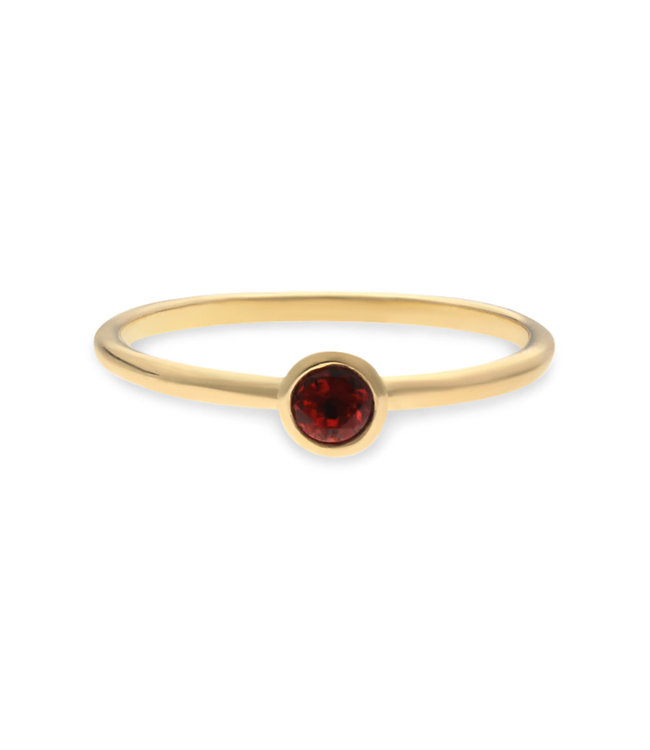 Swing Jewels Birthstone 14kt ring - January Garnet - SWBR01JAN-Y-50