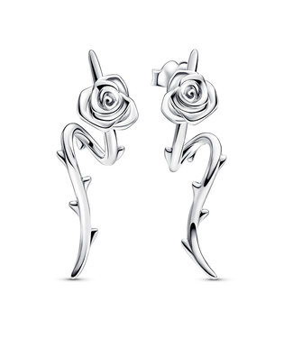 Pandora Rose in Bloom Curved stud earrings - 293214C00