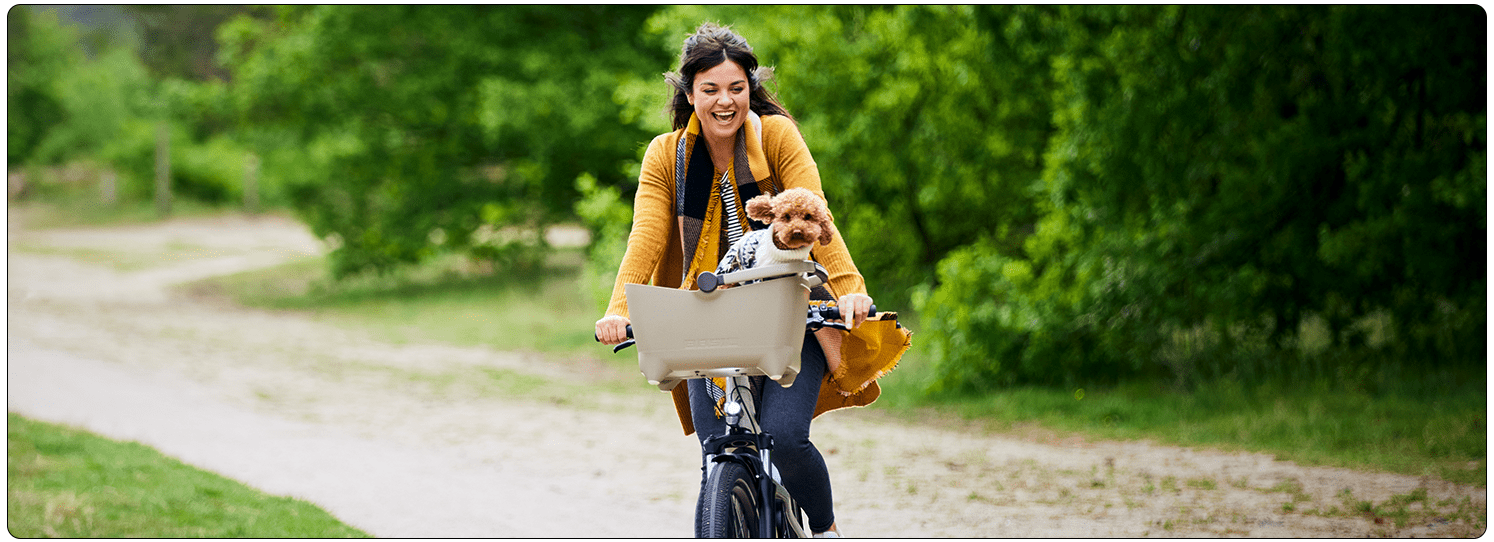 Fietsen met je hond in een hondenfietsmand; hier moet je op letten!