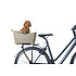 Basil Buddy Hundefahrradkorb - MIK - biscotti brown