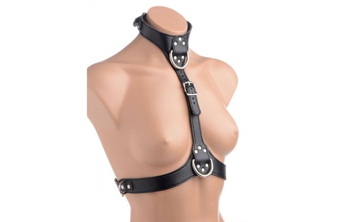 Bondageharnas Voor Vrouwen