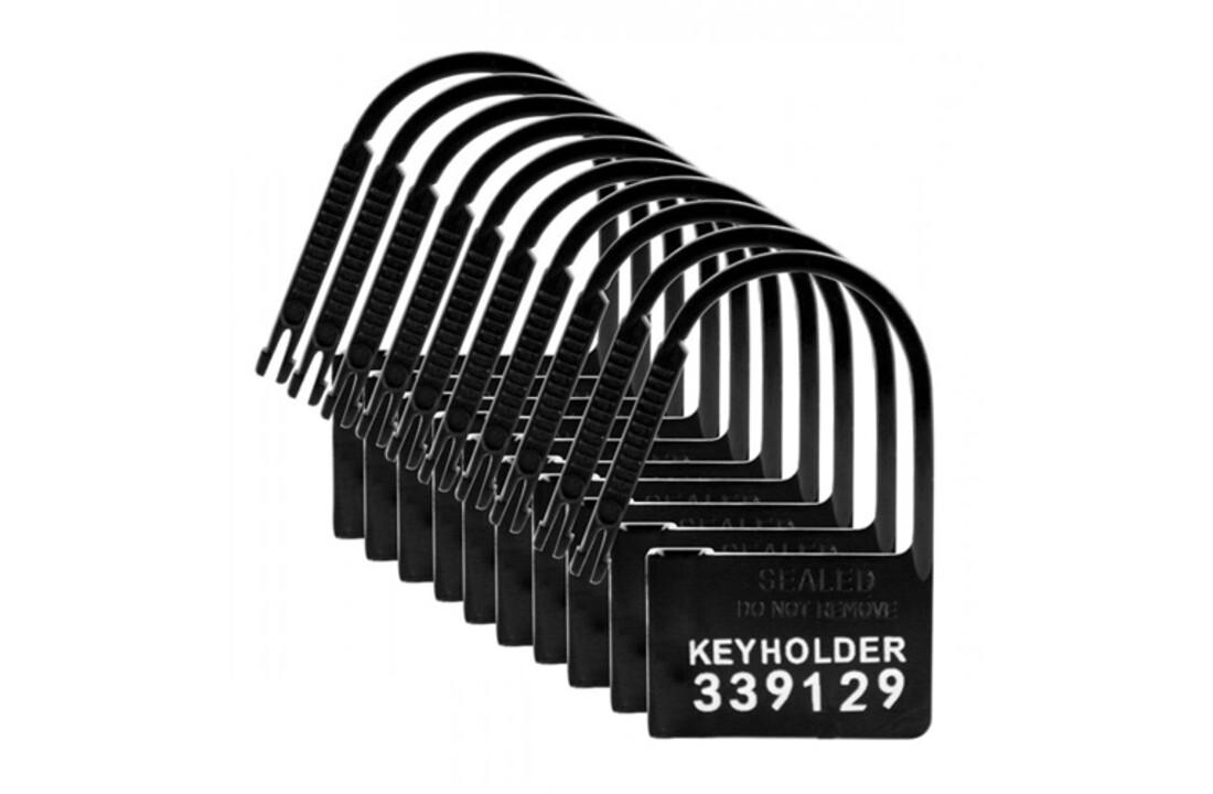 Keyholder Kuisheidskooi Hangslotjes - 10 Stuks