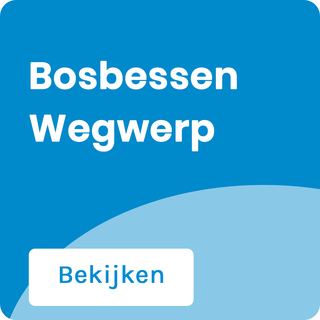 Bosbessen Vape Wegwerp