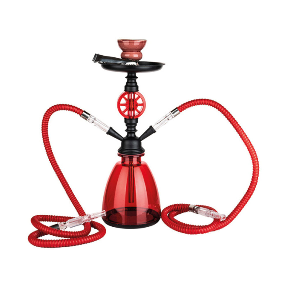 Hookah Ensemble de pipe à eau pour narguilé (2 tuyaux) 35CM