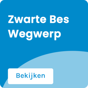 Zwarte bessen Zwarte bessen