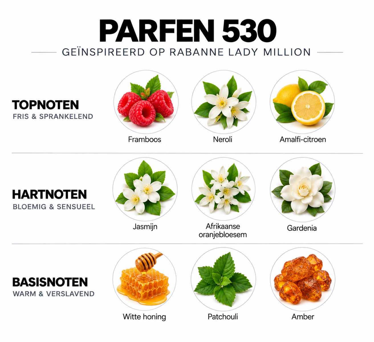 Geurnoten Parfen 530 geïnspireerd op Rabanne Lady Million