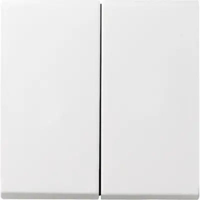 Gira schakelwip 2-voudig Systeem 55 wit mat oud model (029527)