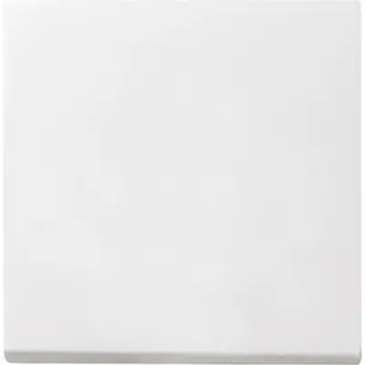 Gira schakelwip Systeem 55 wit mat oud model (029627)
