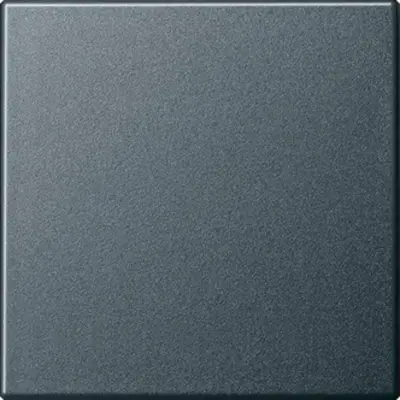 Gira schakelwip Systeem 55 antraciet mat oud model (029628)