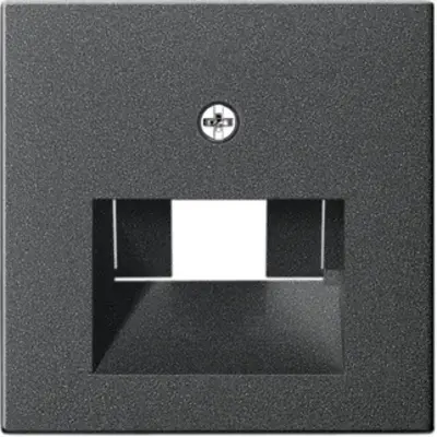 Gira centraalplaat RJ45 wandcontactdoos 1- en 2-voudig Systeem 55 antraciet mat (027028)