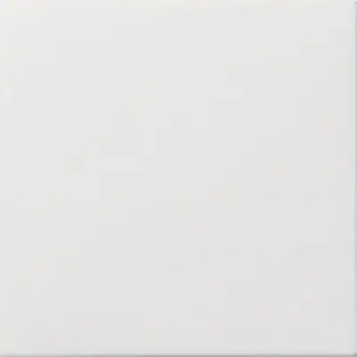 Gira blinddeksel incl. draagframe F100 wit glans (0268112)