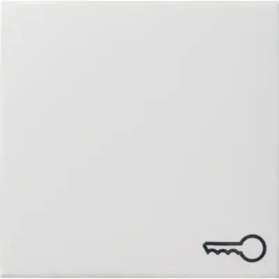 Gira schakelwip symbool deur Systeem 55 wit glans (028703)