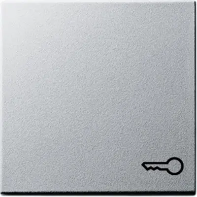 Gira schakelwip symbool deur Systeem 55 aluminium mat (028726)