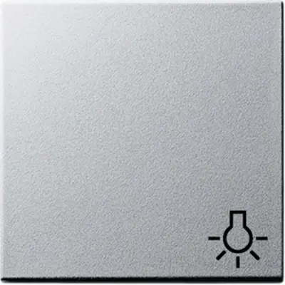 Gira schakelwip symbool licht Systeem 55 aluminium mat (028526)