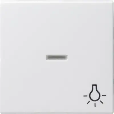 Gira schakelwip controlevenster symbool licht Systeem 55 wit glans (067403)