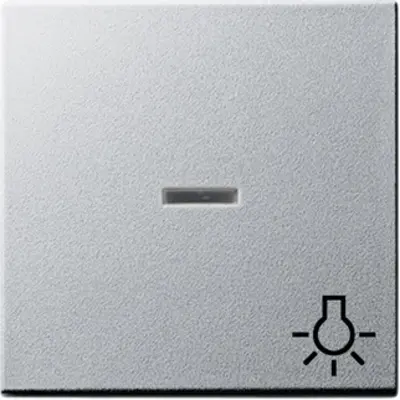 Gira schakelwip controlevenster symbool licht Systeem 55 aluminium mat (067426)