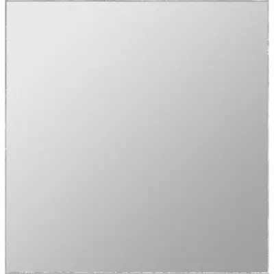 Gira glas voor afdekrand wd (009930)