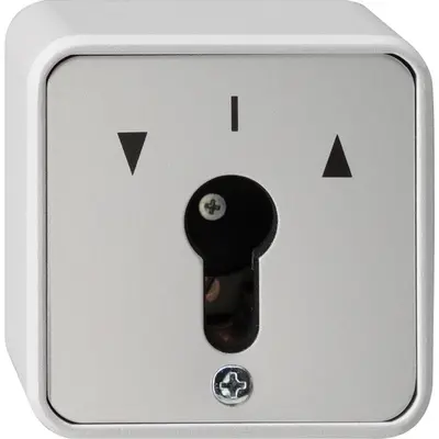 Gira sleutschakelaar 2-polig cyl wd (014430)