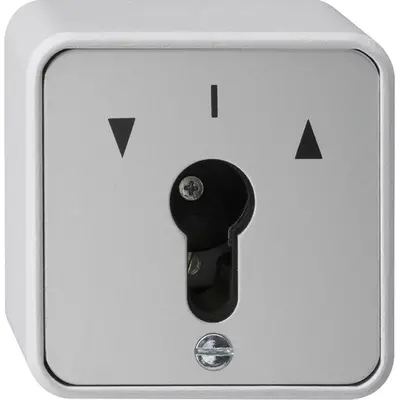 Gira sleutschakelaar 1-polig imp cyl (016330)