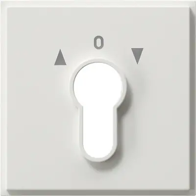 Gira afdekking voor sleutelschakelaar en sleuteldrukcontact TX44 wit (066466)