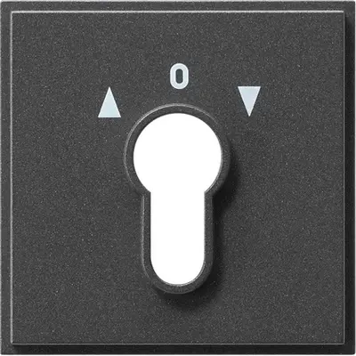 Gira afdekking voor sleutelschakelaar en sleuteldrukcontact TX44 antraciet (066467)