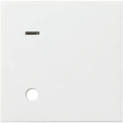 Gira afdekplaat verticaal trekcont Systeem 55 (023303)