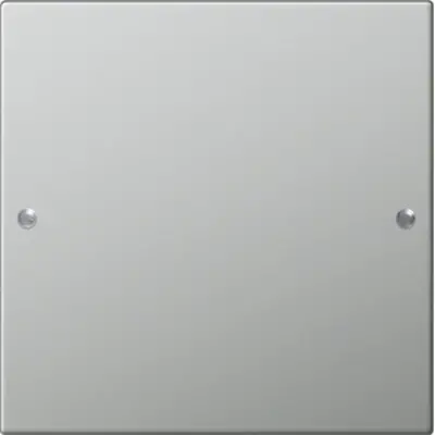 Gira wppnst 1-voudig Systeem 55 edelstaal (2131601)