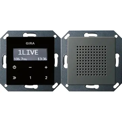 Gira inbouwradio RDS zwartglaslook met luidspreker Systeem 55 edelstaal (2280600)