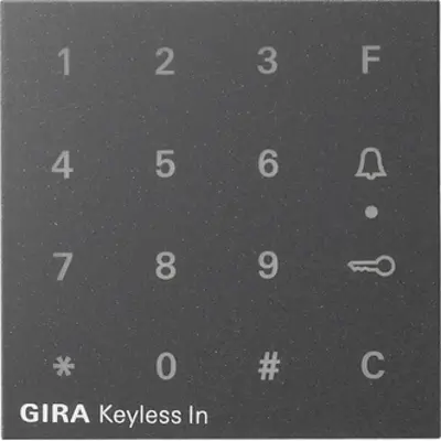 Gira opst codeklavier Systeem 55 antraciet (851328)