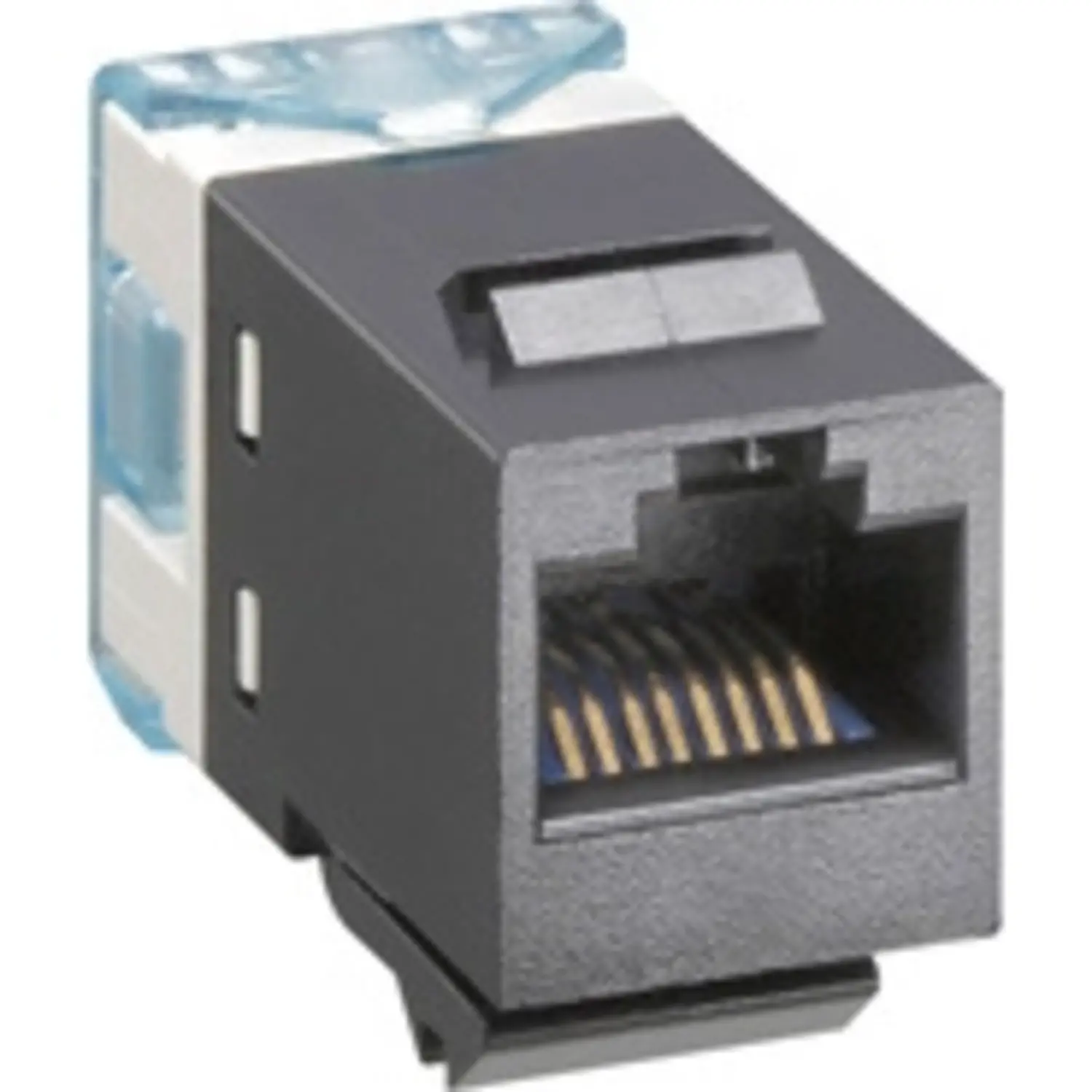 Gira Modular Jack AMP RJ45 CAT5E - Girastore.nl