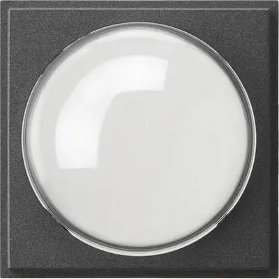 Gira afdekking kleurcam TX44 antraciet (141567)