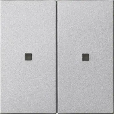 Gira Systeem 3000 wip 2-voudig Systeem 55 kl.aluminium (536926)