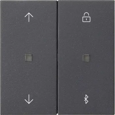 Gira Bluetooth bedieningselement met pijlsymbolen Systeem 3000 Systeem 55 antraciet mat (536728)