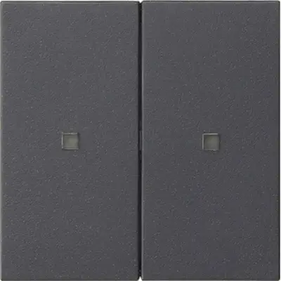 Gira Systeem 3000 wip 2-voudig Systeem 55 antraciet (536928)