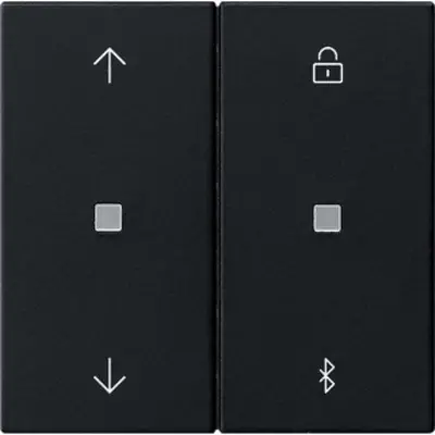 Gira Systeem 3000 Bluetooth bedieningselement met pijlsymbolen Systeem 55 zwart mat (5367005)