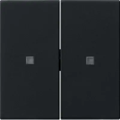 Gira Systeem 3000 wip 2-voudig Systeem 55 zwart (5369005)