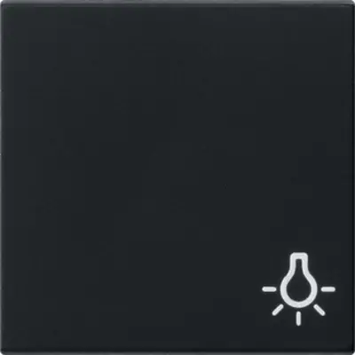 Gira schakelwip symbool licht Systeem 55 zwart mat (0285005)