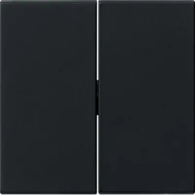 Gira schakelwip 2-voudig Systeem 55 zwart mat oud model (0295005)
