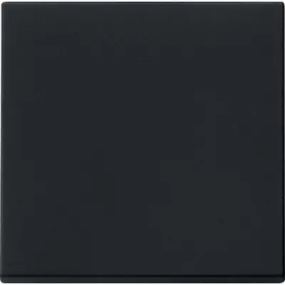 Gira schakelwip Systeem 55 zwart mat (0296005)